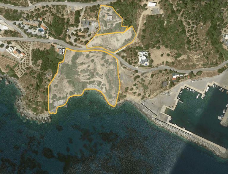 Screenshot-2024-01-17-at-12.49